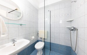 Shower, hair dryer
