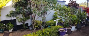 Dan's Hotel Kisii