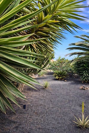A garden with various plants and a gravel path. - Villa Infinity Exclusive - Private Pool & Total Privacy (Tías)