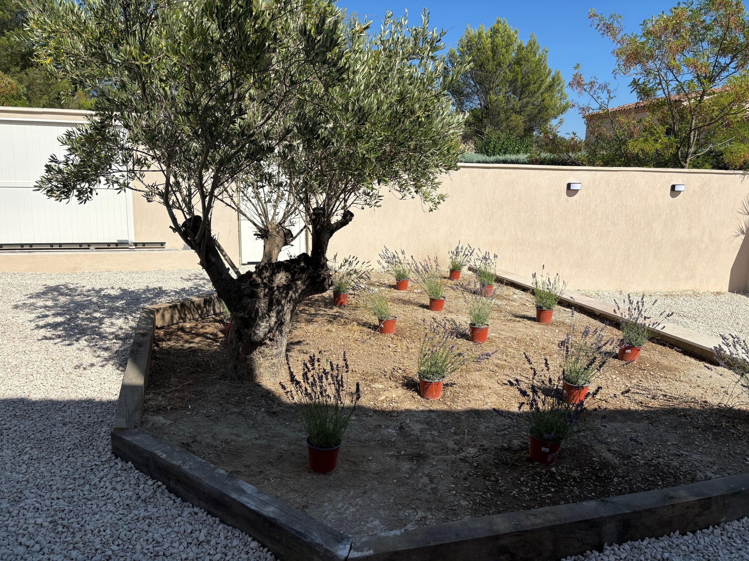 Enceinte de l’hébergement