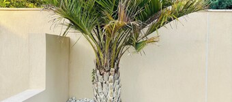 Magnificent Provencal villa with swimming pool in the Luberon