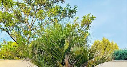 Magnifique villa provençale avec piscine dans le Lubéron