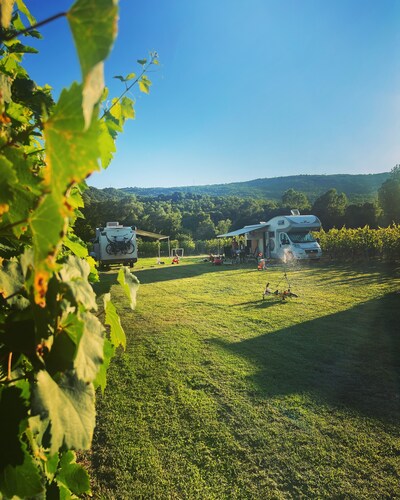 Purple Eye Estate - Camp & Winery (Jokaš)