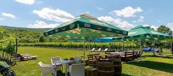 Purple Eye Estate - Camp & Winery (Jokaš)