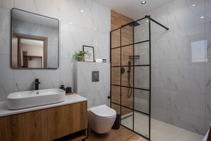 Shower, hair dryer, towels