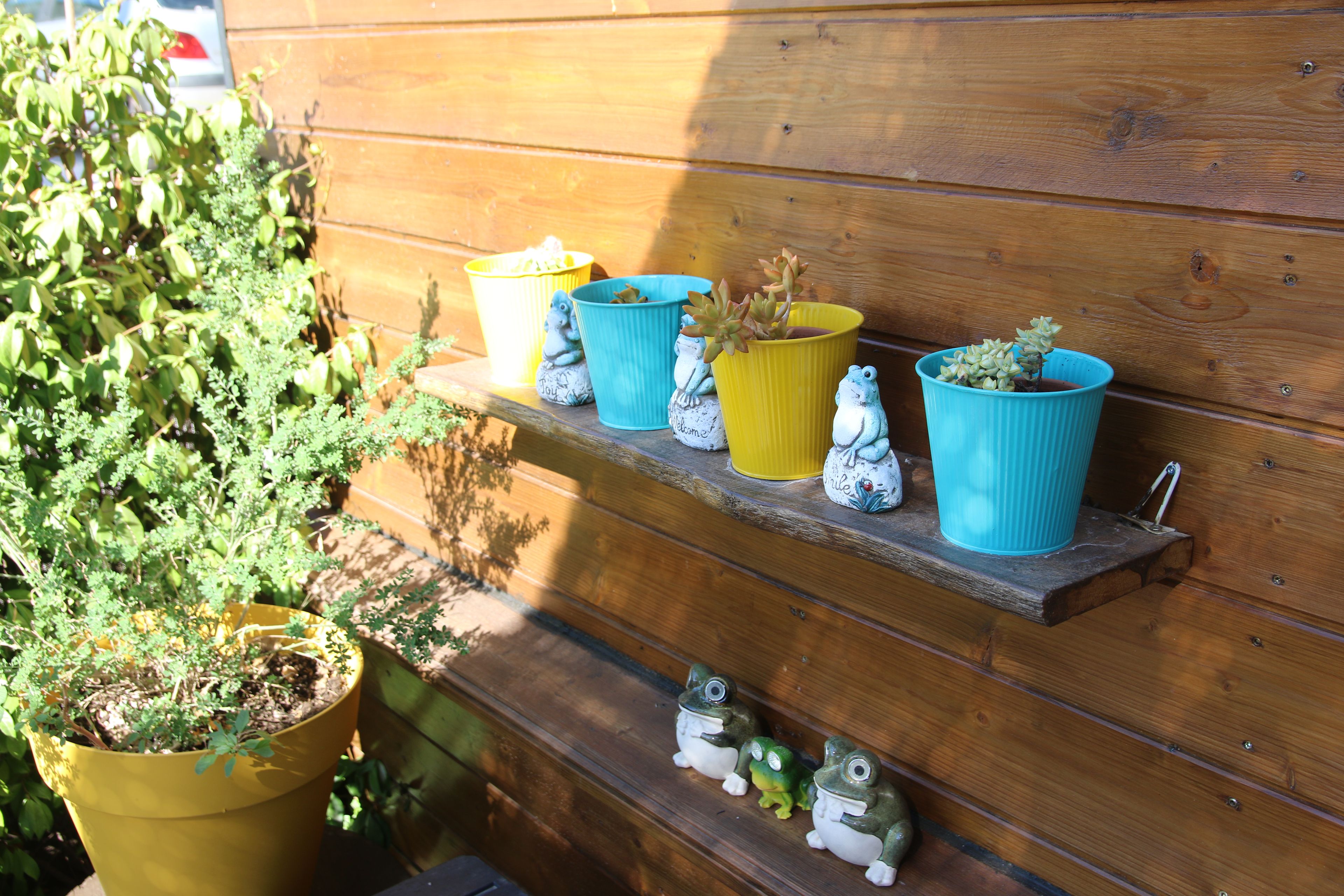A wooden shelf with potted plants and frog figurines.