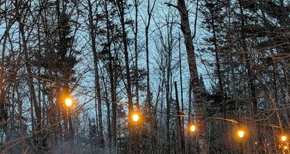 Cozy Cabin in Barss Corner with hot tub. Pet-Friendly!