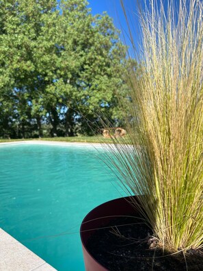 A swimming pool with clear blue water, surrounded by lush greenery and trees. - Detached villa with a pool and mountain views (Duruelo)