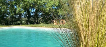 Detached villa with pool and mountain views