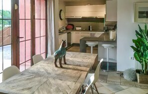 Fridge, stovetop, dishwasher