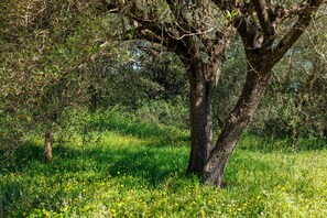 Unclassified image, 3 of 21, button