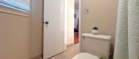 A bathroom with a toilet, a small sink with a plant, a door, and a shower curtain.