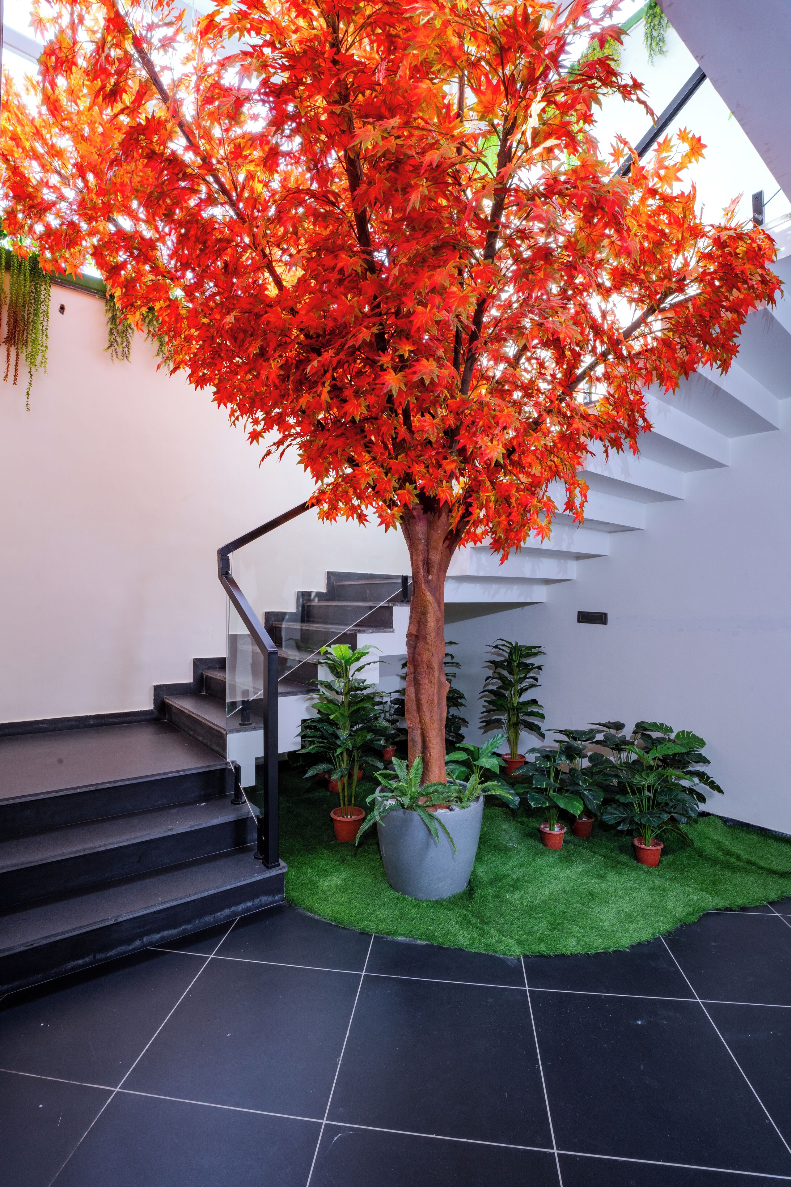 A staircase with a tree in a planter, surrounded by potted plants, in a modern building with white walls and black tiles.