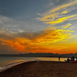 Private beach, free beach shuttle, sun-loungers, beach umbrellas