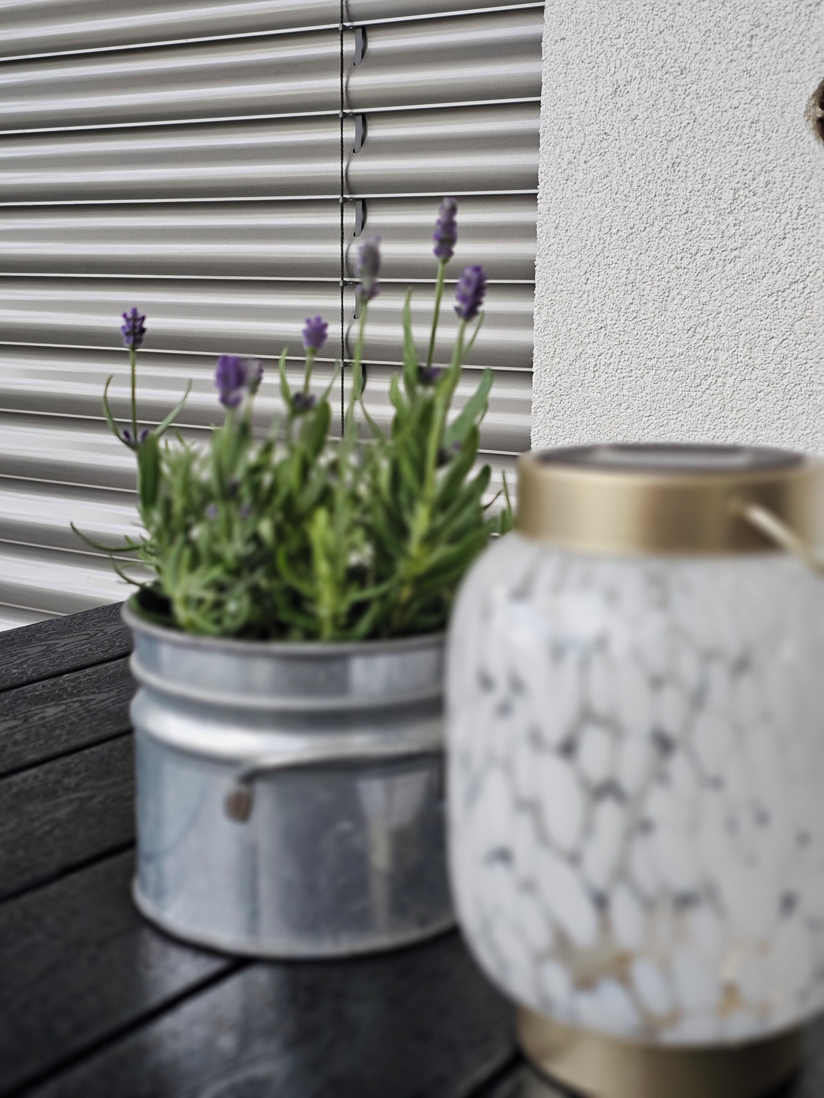 Um cachepot de metal com plantas verdes e flores roxas sobre uma superfície de madeira, ao lado de um vaso branco com detalhe dourado.