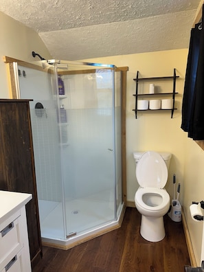 Shower, towels, soap, toilet paper