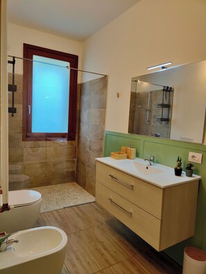 Hair dryer, bidet, towels, soap
