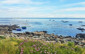 Pêche sur place