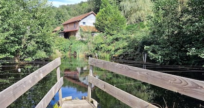 1860 farmhouse with mill - nature, peace & quiet & hiking in the heart of the Vosges mountains