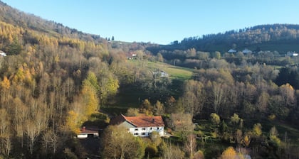 1860 farmhouse with mill - nature, peace & quiet & hiking in the heart of the Vosges mountains