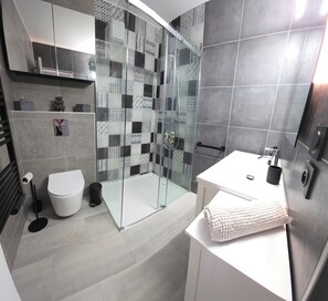 Hair dryer, towels, soap, toilet paper