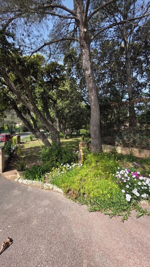 Overnattingsstedets uteområder