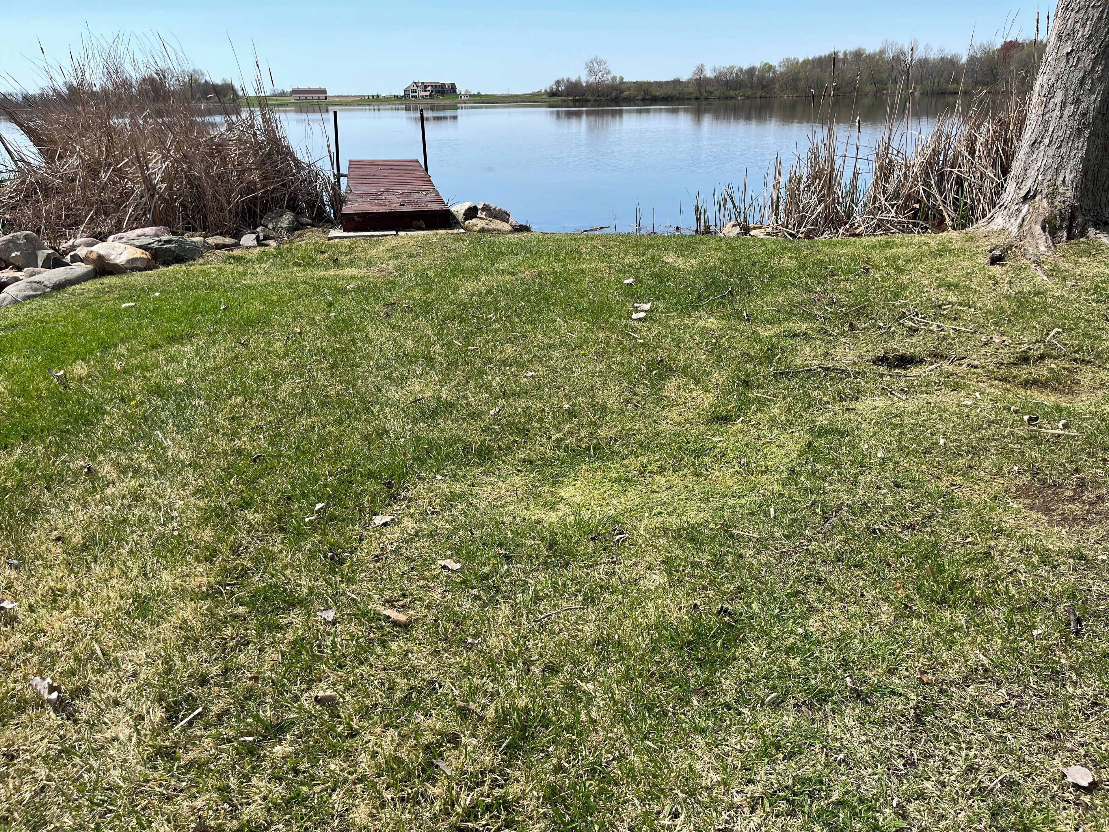 A grassy area with a dock extending into a calm lake, surrounded by trees and a distant house.