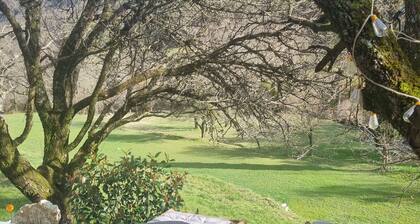 Le Chalet des Bois (spa en option)