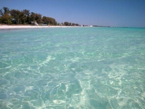 Beach - Compass Rose- 9 bedroom close to beach with rooftop- Luxury home! (Anna Maria)