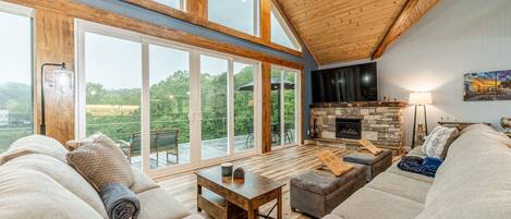 Smart TV, fireplace, books