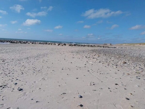 ハウス | ウォーター ビュー