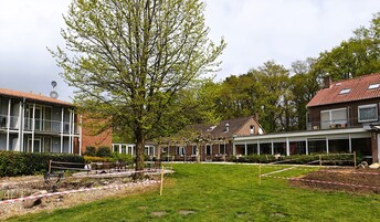 A residential area with houses, a tree, and a fenced garden area.