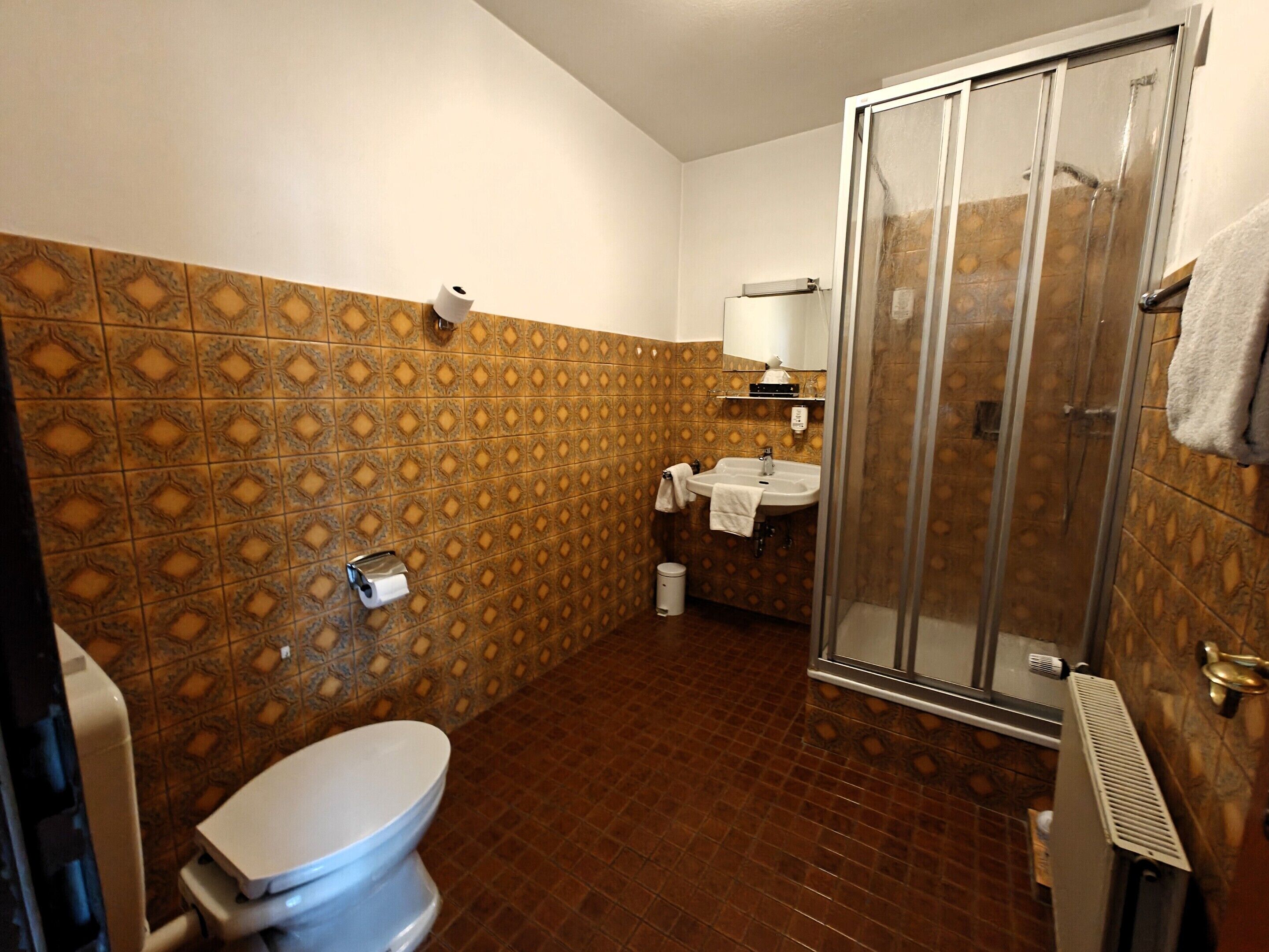 Un baño con azulejos estampados, un inodoro, un lavamanos y una ducha.