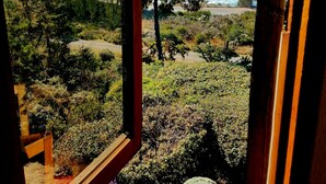 A view through a window with a wooden frame, overlooking a coastal landscape with trees, shrubs, and a road leading to the beach. - Cozy Loft with Ocean Views @Brewery Gulch INN (Mendocino)