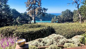 A garden with a wooden deck and a mosaic bowl. - Cozy Loft with Ocean Views @Brewery Gulch INN (Mendocino)