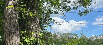 “LaLa’s Place”Cozy, conveniently located country cottage, pets, carport,fire pit