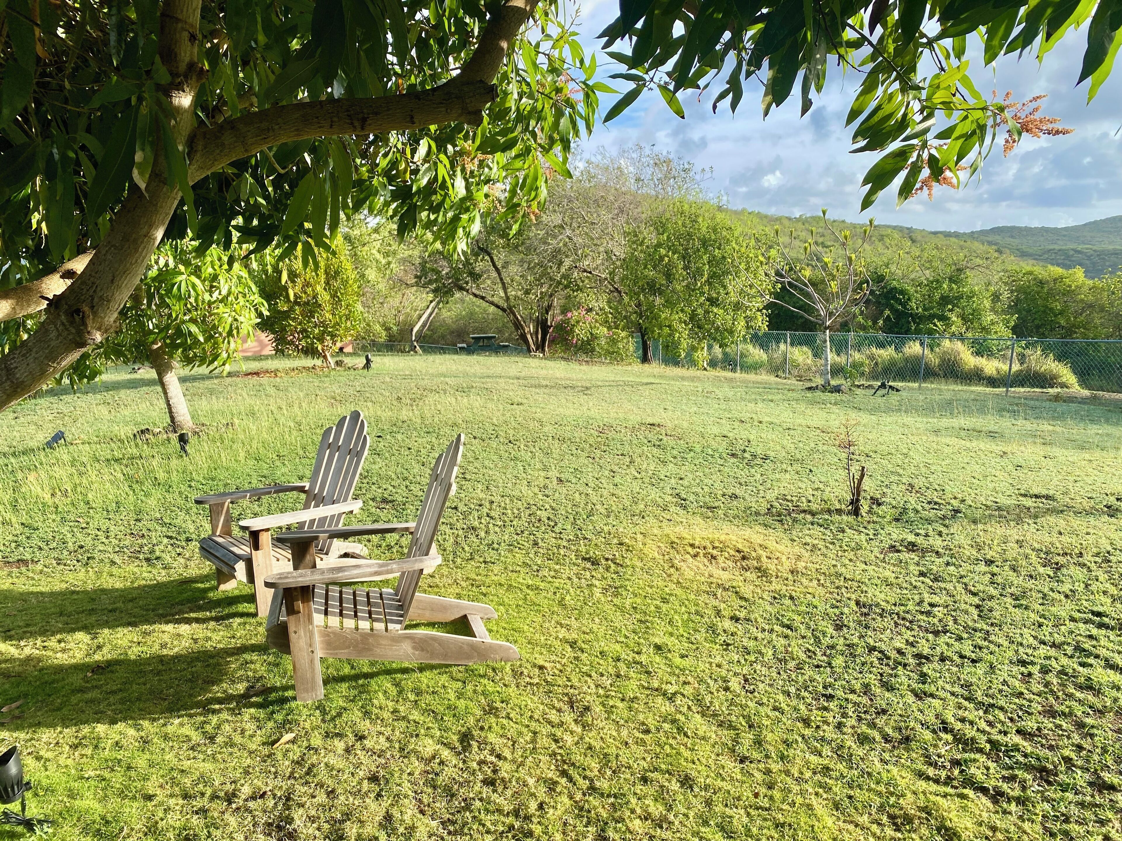 Un espace extérieur verdoyant, avec une table et des chaises en bois, entouré d’arbres et d’une clôture.
