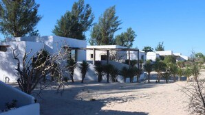 Un edificio moderno de fachada blanca, rodeado de palmeras y pinos.