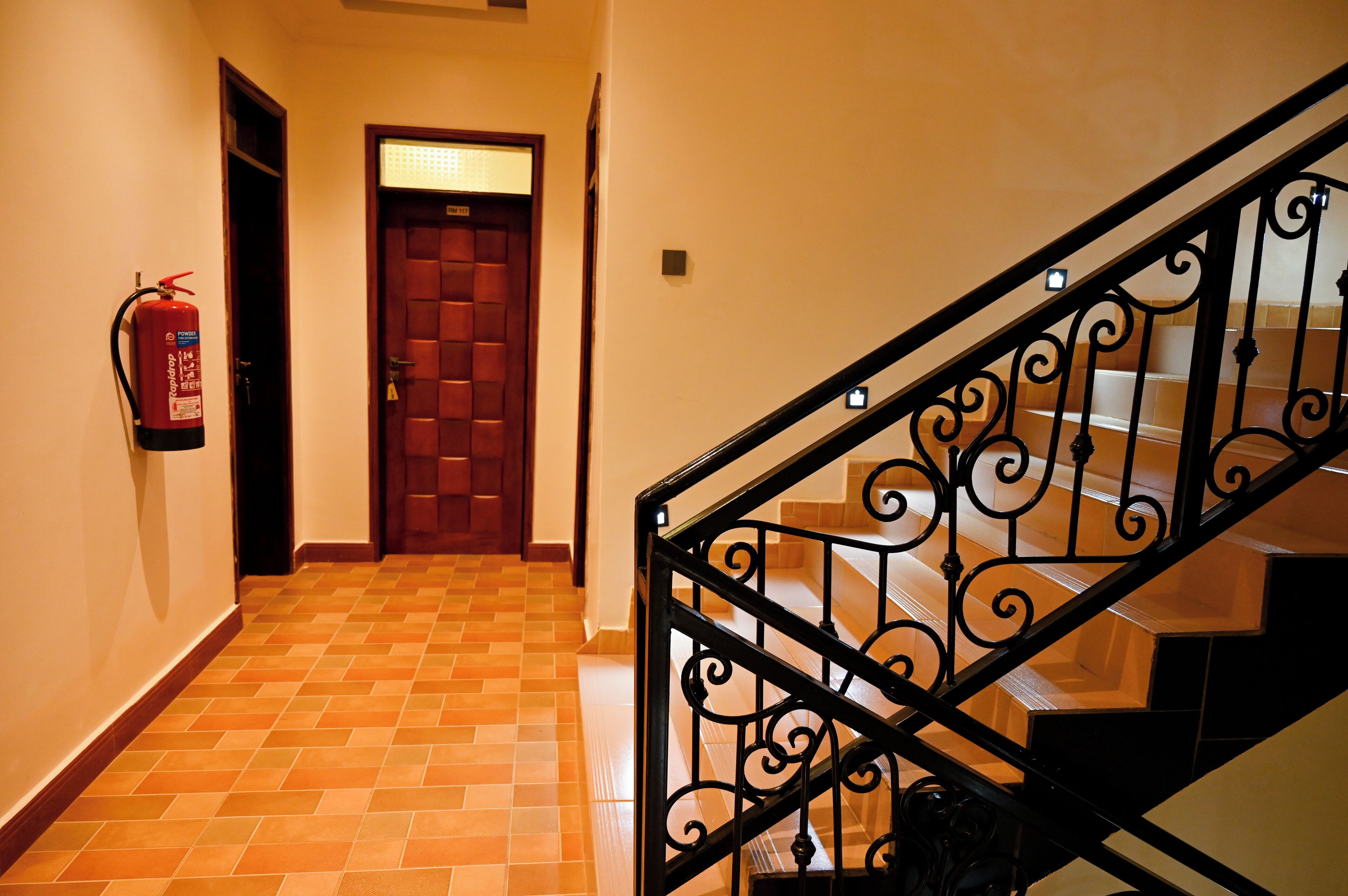 A hallway with a fire extinguisher mounted on the wall, a wooden door, and a staircase with ornate black railings.