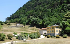 Ländliche Landschaft mit Terrassenfeldern, einem Steinhaus und einem gelben Haus mit rotem Dach.