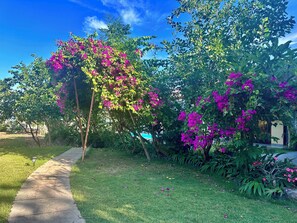 Garden - Sanur ocean view villas (Bali)