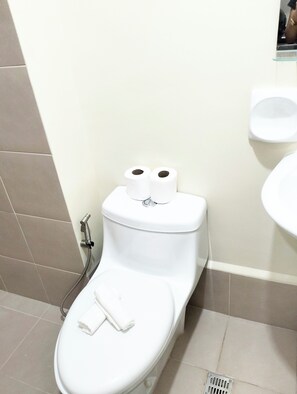 Douche, serviettes fournies, savon, papier toilette