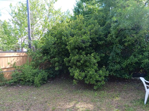 2-bedroom house in Ormond Beach with WiFi, AC,, very private back yard,