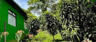 Bed & Breakfast 15 minutes from La Fortuna, Ideal to relax and unwind!