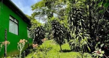 Bed & Breakfast 15 minutes from La Fortuna, Ideal to relax and unwind!