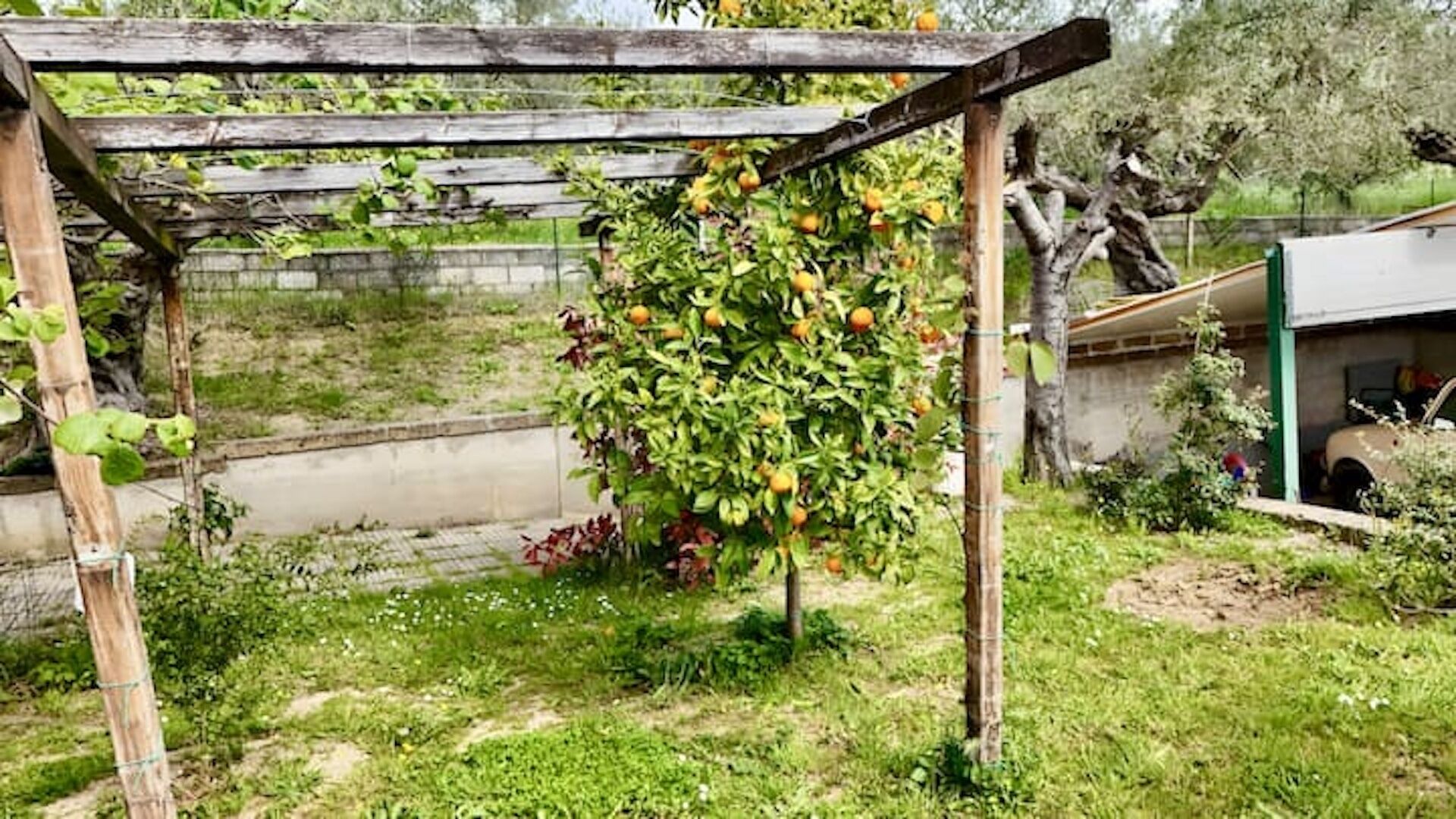 Área da propriedade