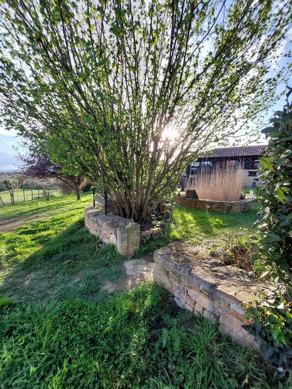 Property grounds - Rural gîte and equestrian stopover on an AB-certified ethological farm, in a peaceful setting (Cassagnabère-Tournas)