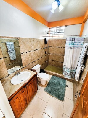 Douche, serviettes fournies, savon, papier de toilette