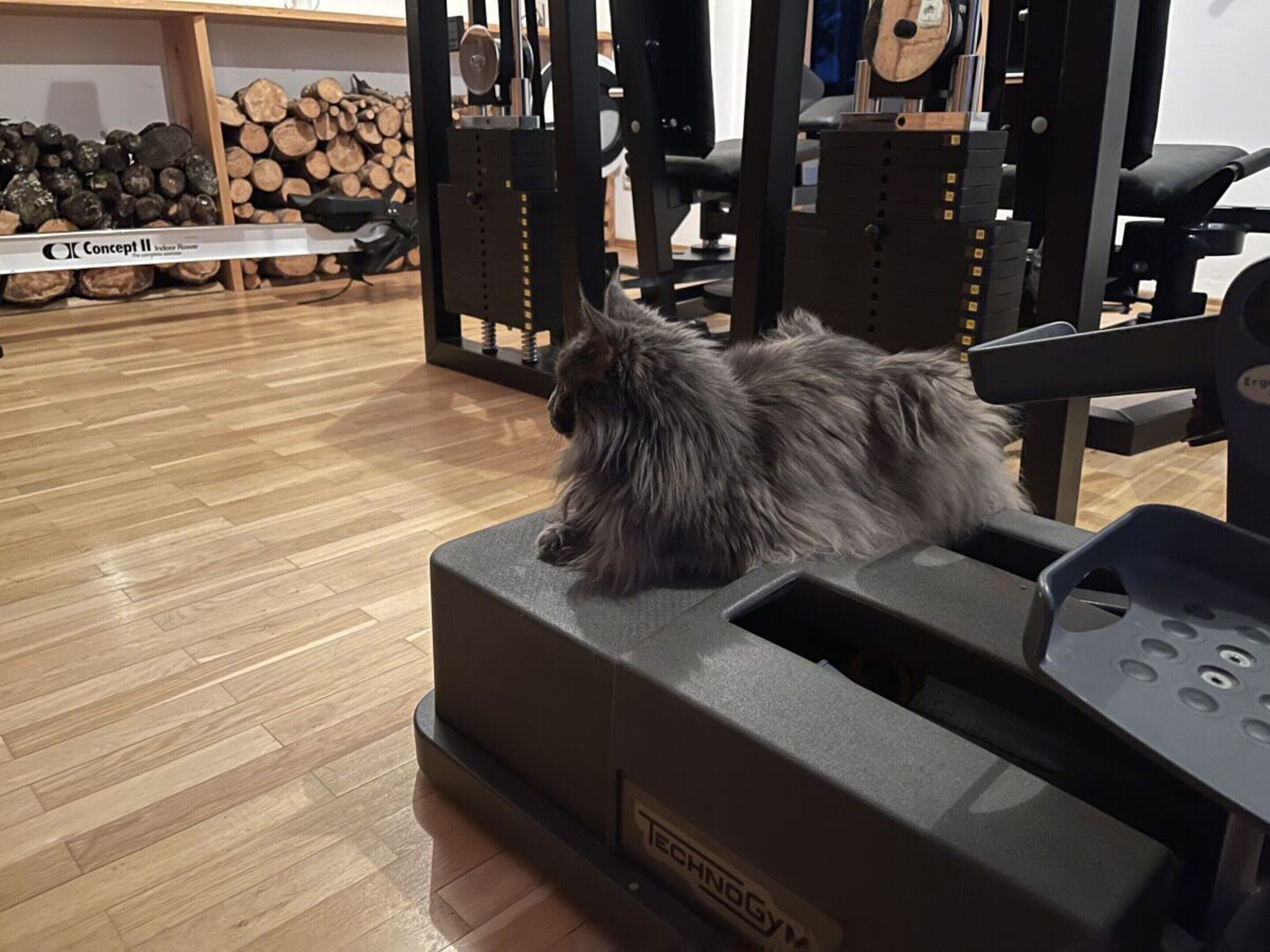 مرفق اللياقة البدنية