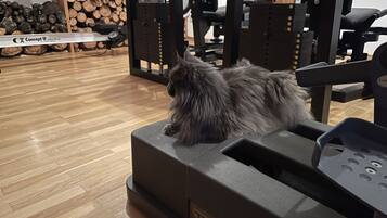 Huis | Fitnessfaciliteiten